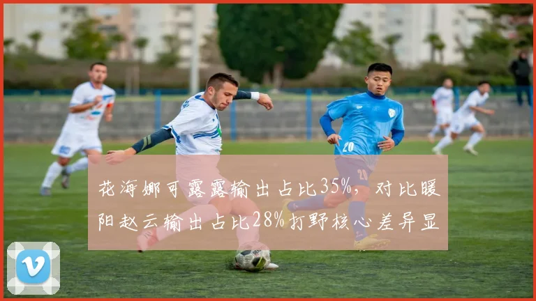 花海娜可露露输出占比35%，对比暖阳赵云输出占比28%打野核心差异显著